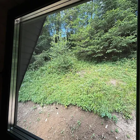 Villa у віти A-frame 3 Synevyrs'ka Polyana